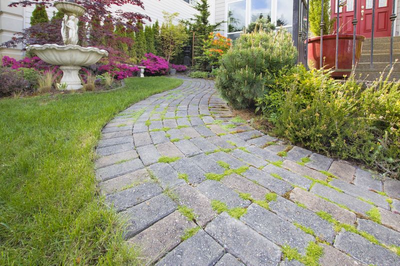 Elegant Stone Walkways